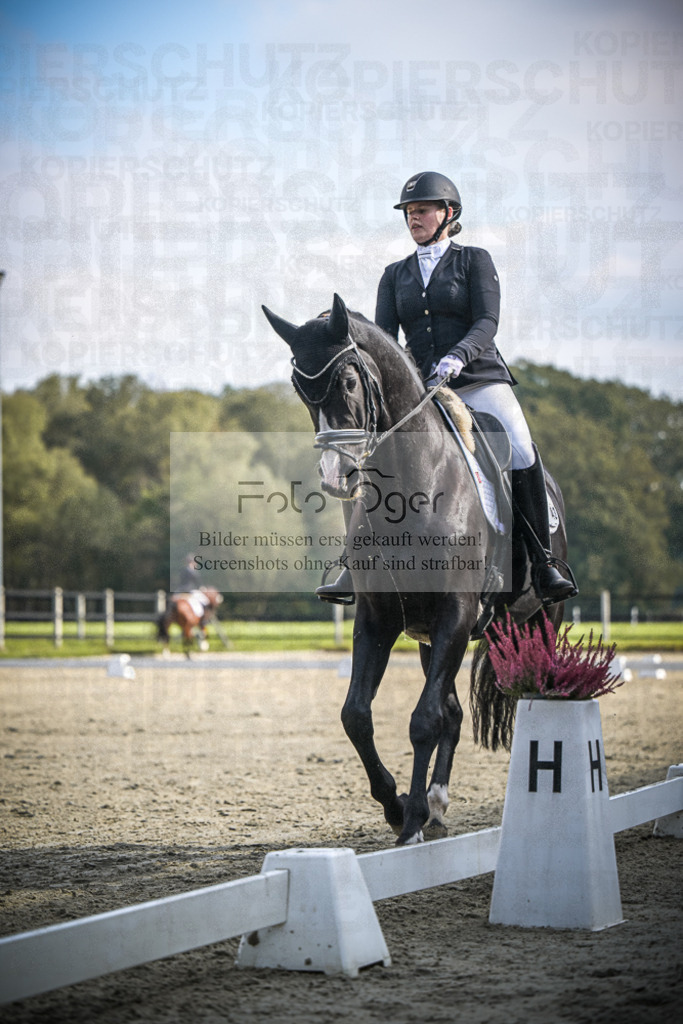 DOS_B724 | Entdecke hochwertige Reitturnierfotos von Foto Oger. Professionell, emotional und authentisch – jetzt Lieblingsmomente im Shop bestellen.Deutschlandweite Turnierfotografie. - Realisiert mit Pictrs.com