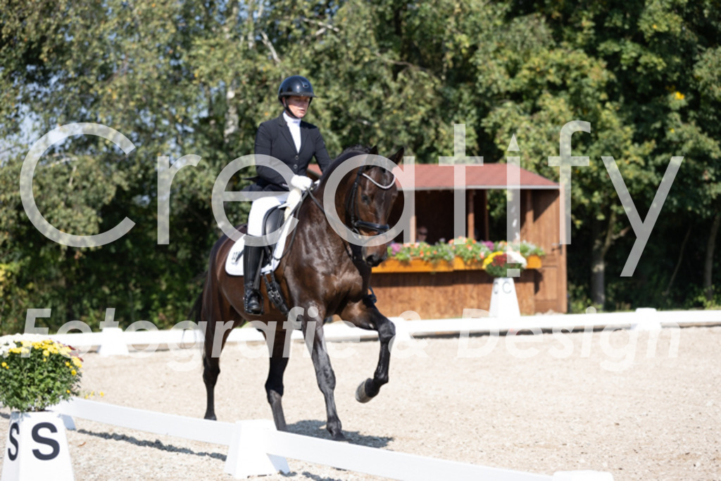 IMG_5191 | Creatify Fotografie