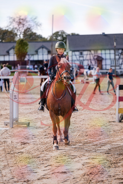 2026_10_03_Siefer-Hof_144540_Z81_21574234 | Professionelle Reitsport-, Turnier- und Eventfotografie von Robert Broda. Galerien mit ausgewählten und bearbeiteten Bildern direkt online ansehen und bestellen.