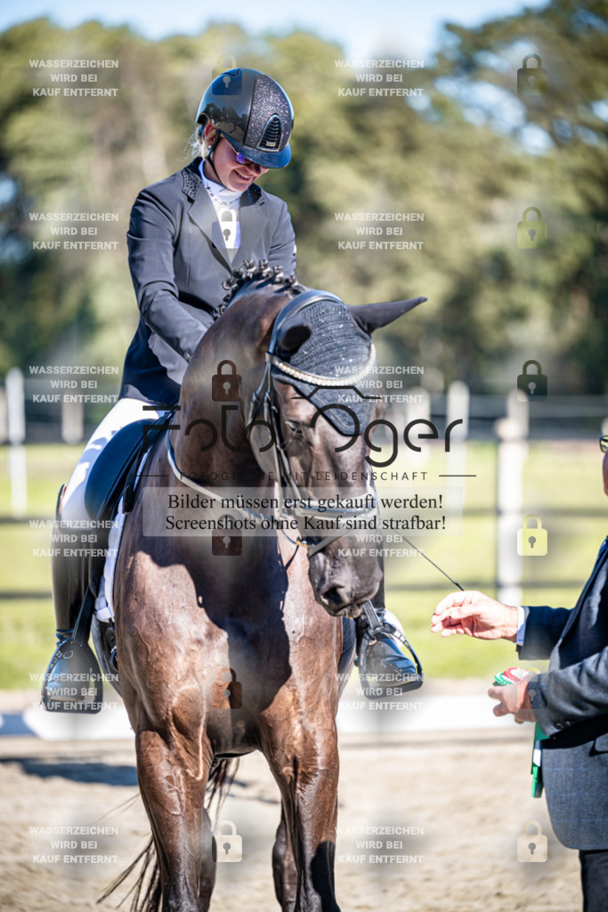 2026-09-Lohne-11-0014 | Entdecke hochwertige Reitturnierfotos von Foto Oger. Professionell, emotional und authentisch – jetzt Lieblingsmomente im Shop bestellen.Deutschlandweite Turnierfotografie. - Realisiert mit Pictrs.com