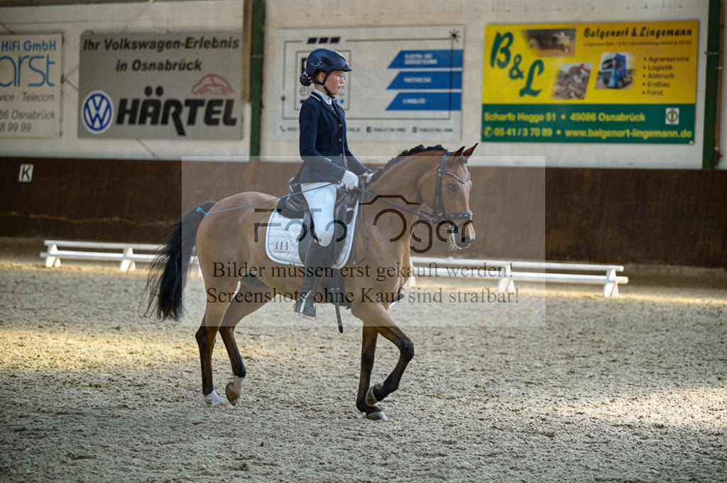 Reitturnier Voxtrup | Entdecke hochwertige Reitturnierfotos von Foto Oger. Professionell, emotional und authentisch – jetzt Lieblingsmomente im Shop bestellen.Deutschlandweite Turnierfotografie. - Realisiert mit Pictrs.com