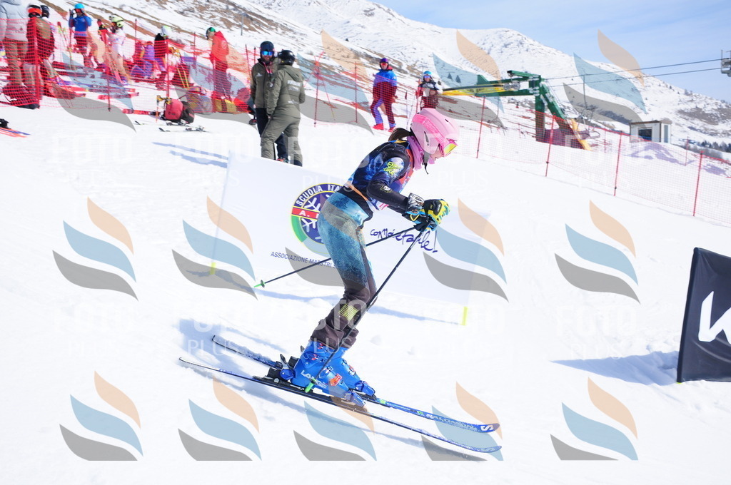 DSC_5465 | holidayphoto