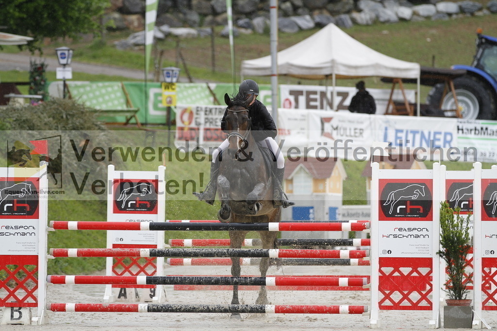 _MG_1137 | equestrian-live-com