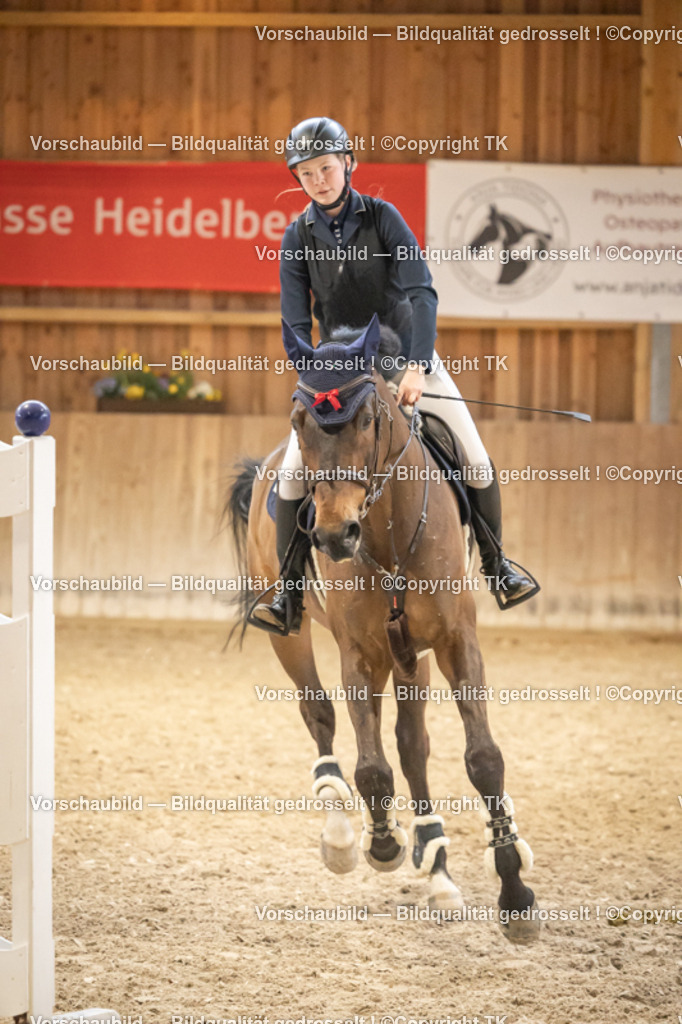 _D5A8410 | Emotionale Pferde- & People-Fotografie rund um Heidelberg, Leimen & Umgebung. Natürliche Fotos von Pferd, Mensch & Familie. Jetzt Termin sichern!