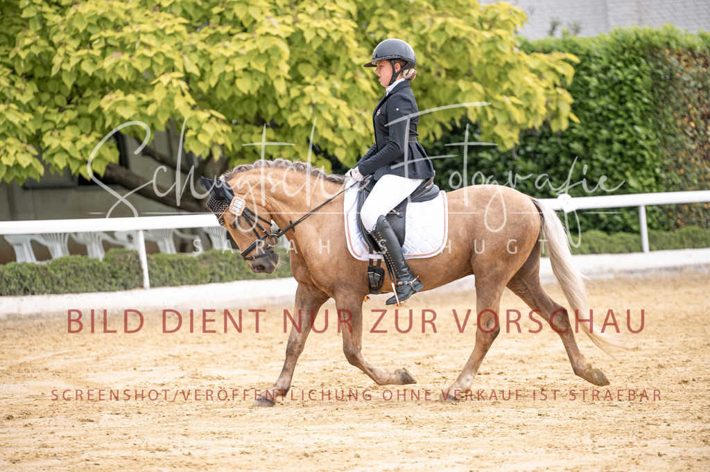 Schugtsche-Aluta25-40.DressurprfA_-340 | Schugtsche Fotografie - Realisiert mit Pictrs.com