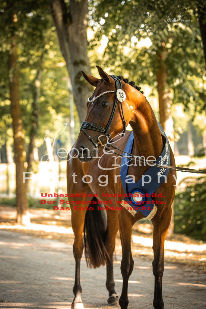 DoER00142 | Leoni Ertmer Photography - Realisiert mit Pictrs.com