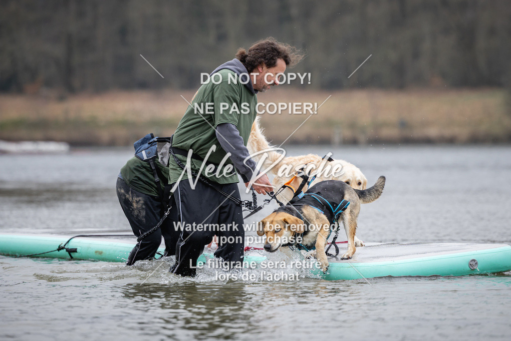 nelerasche_Hulsbeek_Sa1515-1600_606 | nelerasche