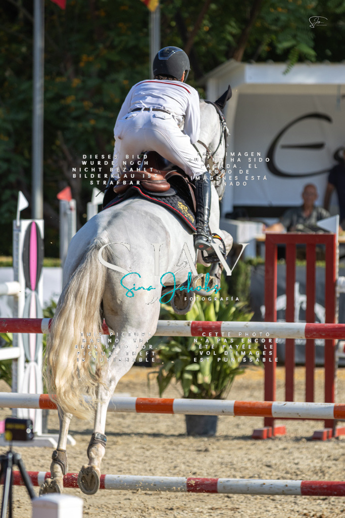 IMG_9532 | s-jay-photography - Realisiert mit Pictrs.com