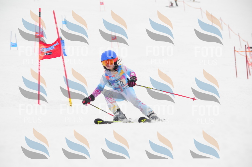 C0616 | holidayphoto