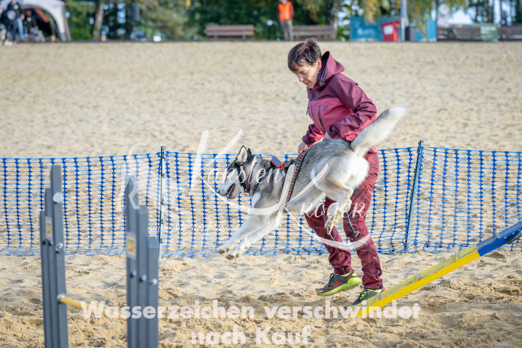 0953_ZZ93009 | kk-dogfotos