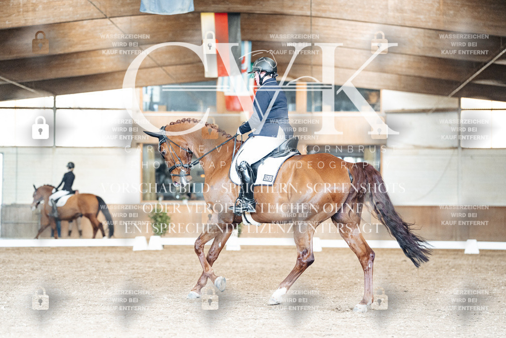 CK901697 | Turnierfotografie Pferdefotografie Trier Rheinland-Pfalz Pferdesport Reitsport Tierfotografie Sportfotografie Pferdevideo Pferdevideografie Equestrianvideography equestrianphotography  - Realisiert mit Pictrs.com