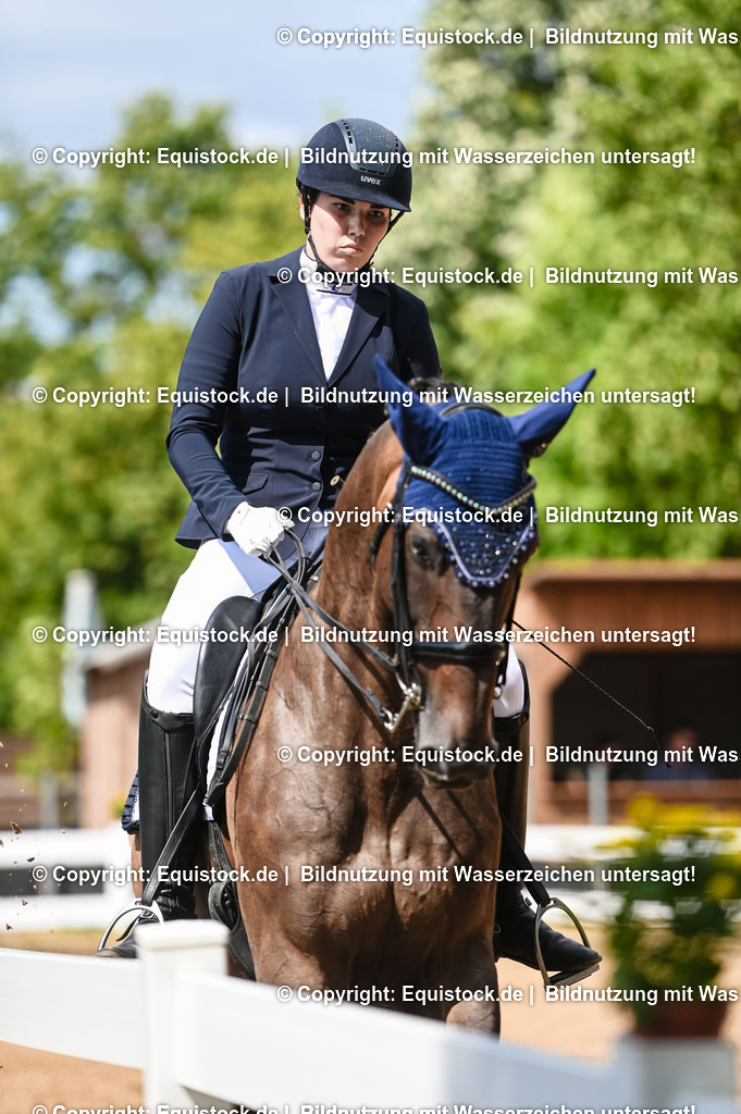 20230716_01_Dressurprüfung Kl.M_0294 | equistock