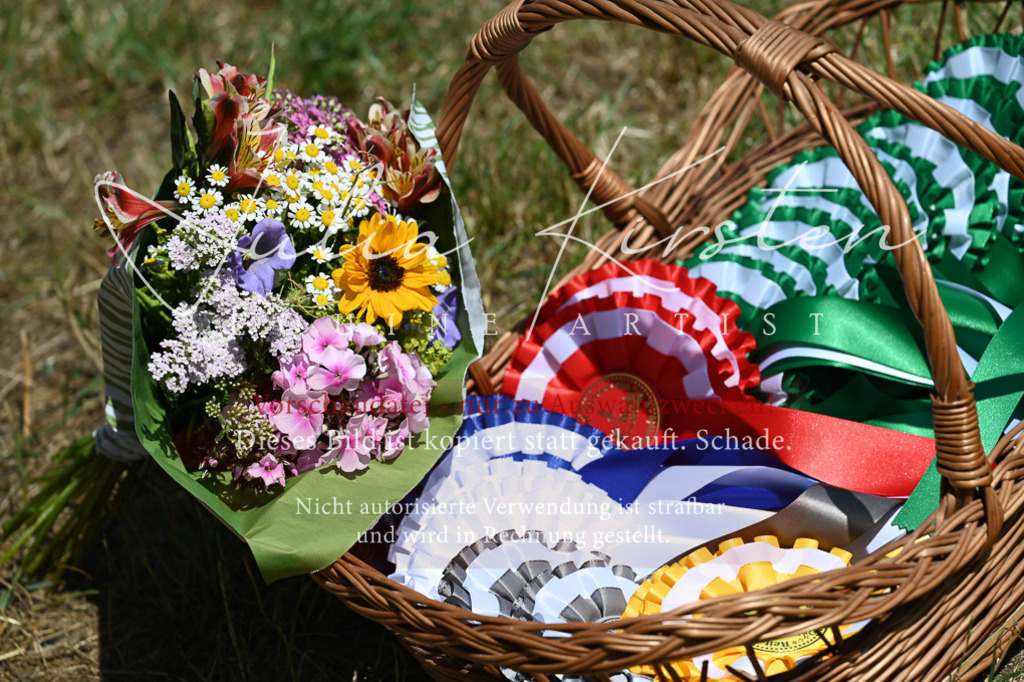 DSC_9913 | Pferde- und Turnierfotografie in Westsachsen. Pferdeportraits, Auftragszeichnungen und intuitive Kunst.