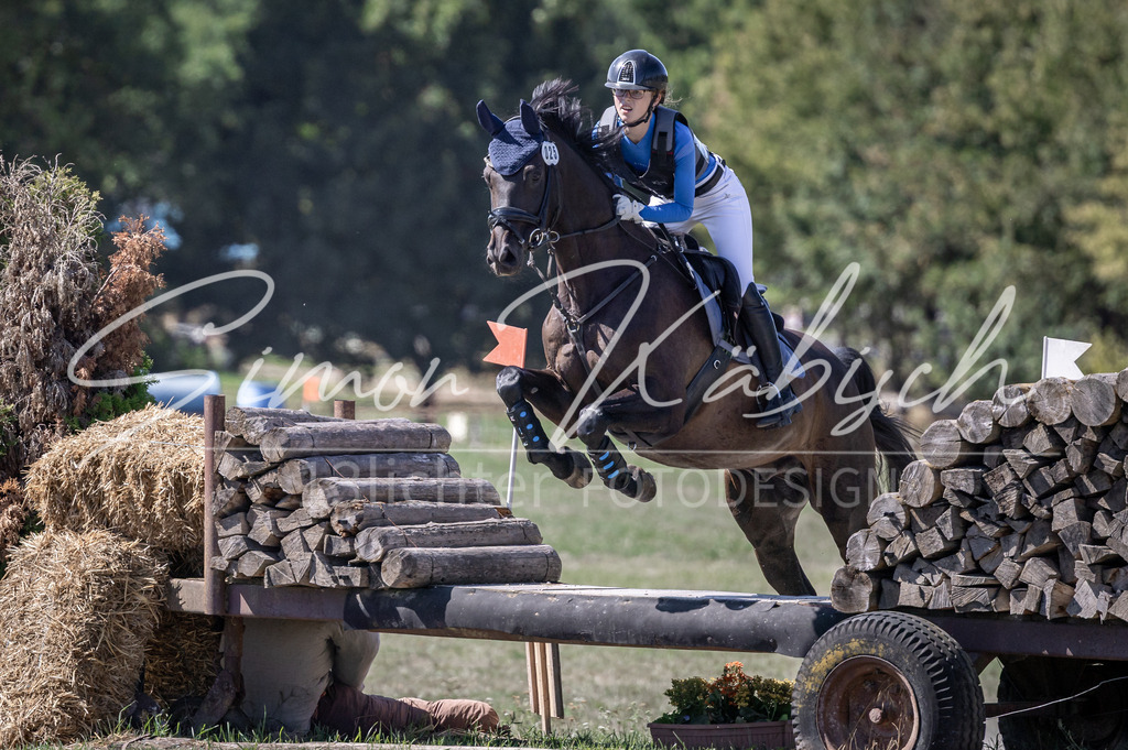 20260906-_3LI4125 | Tierfotografie Pferde, Hunde, Katzen, Haustiere.
Turnierfotografie Reitturniere, Reiten, Springreiten, Dressur in Hanau, dem Main-Kinzig-Kreis und dem Rhein-Main- Gebiet um Frankfurt