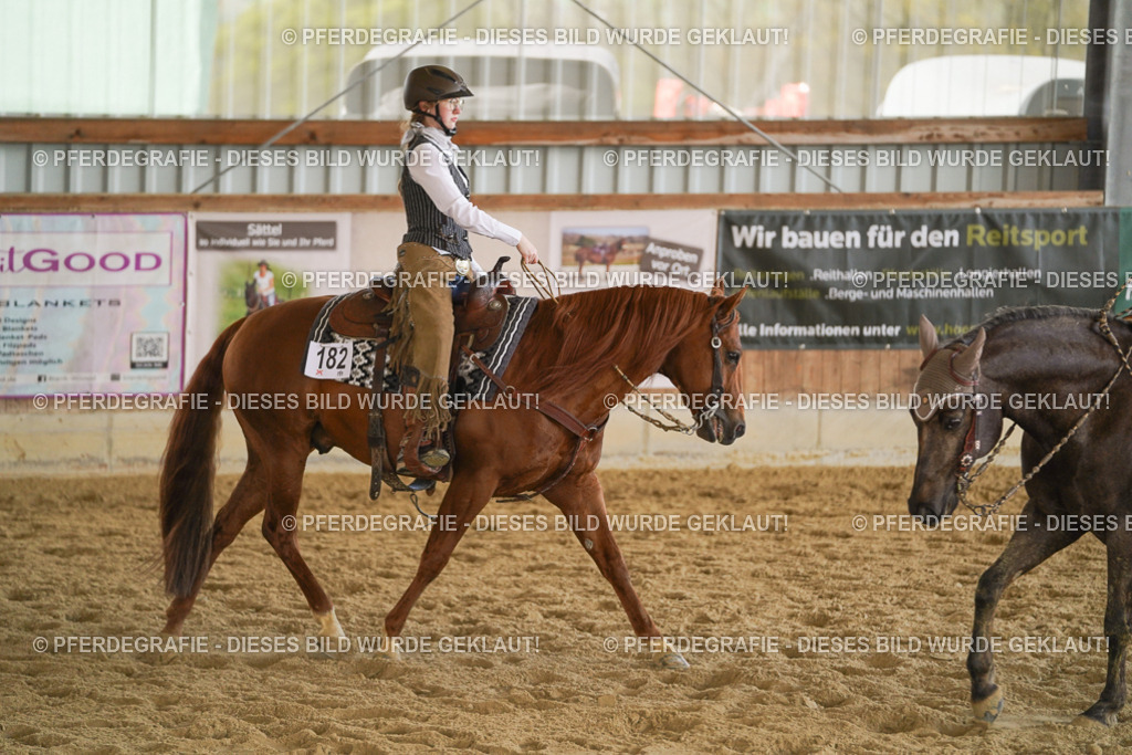 DSC08734 | Pferdegrafie