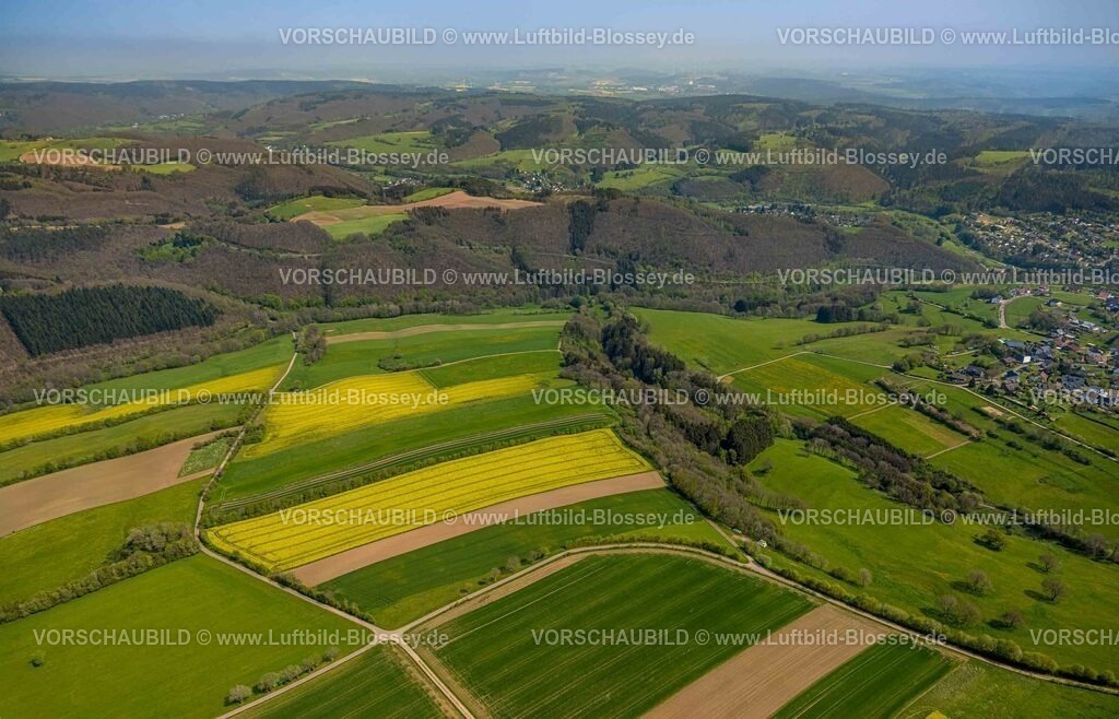 Schleiden240502135DreibornerHochfläche | Luftbild, Waldgebiet und Dreiborner Hochfläche Naturschutzgebiet NSG zwischen Scheuren und Dreiborn, Wiesen und Felder, Nationalpark Eifel, Scheuren, Schleiden, Nordrhein-Westfalen, Deutschland