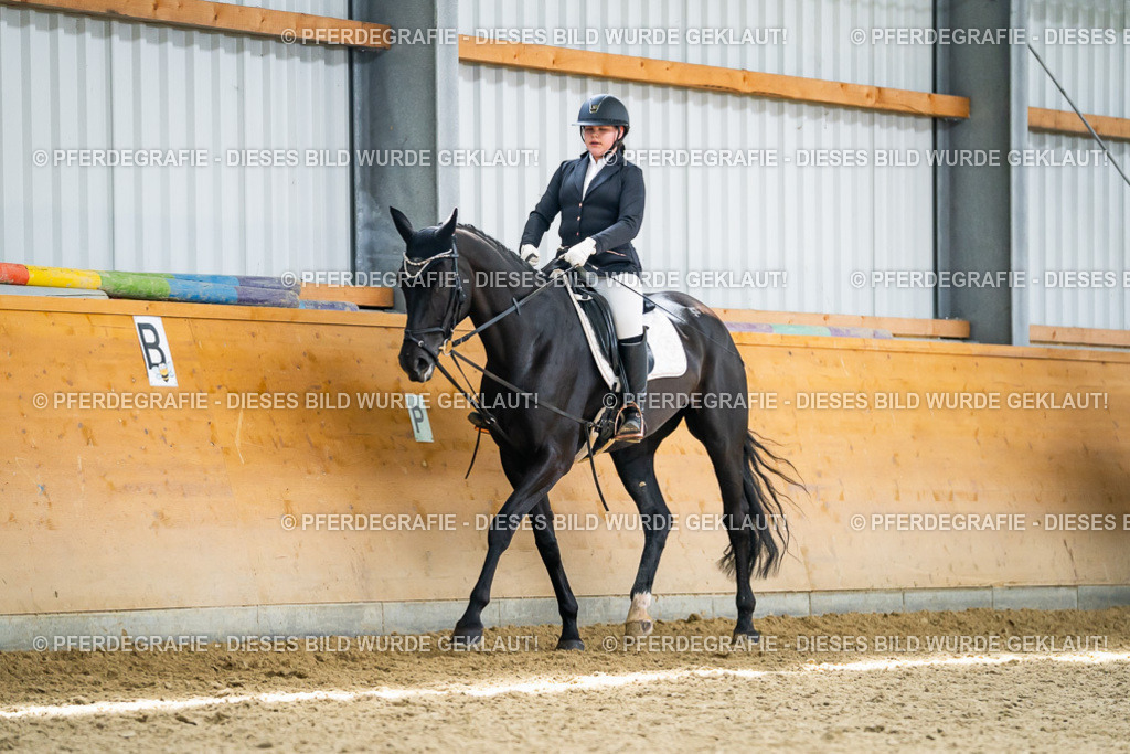 DSC04446 | Pferdegrafie