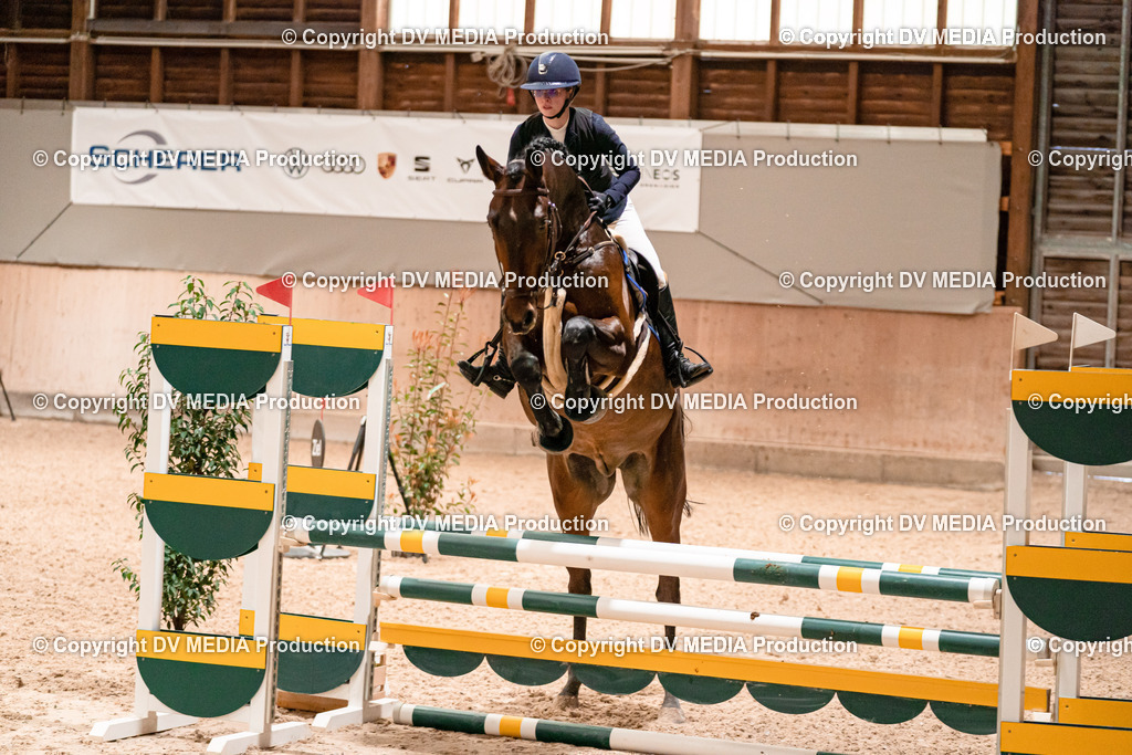 Springen Tag 1-238 | dv-media-shop - Realisiert mit Pictrs.com