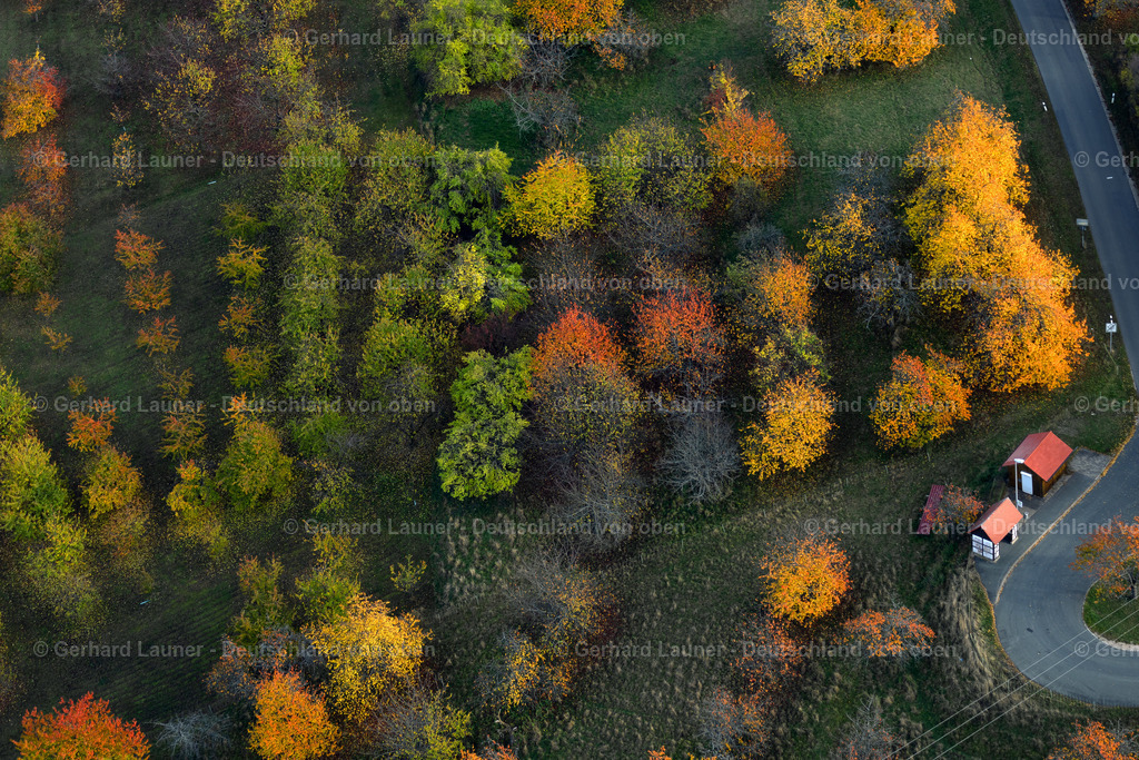 3808229 | Herbstliche Bäume bei Rödlas
