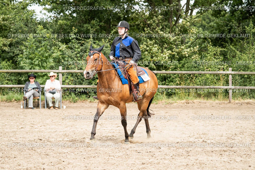 DSC01665 | Pferdegrafie