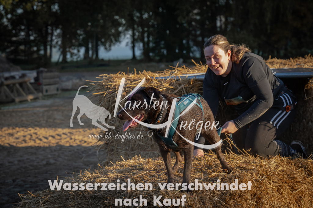 0904_ZZ91035 | kk-dogfotos