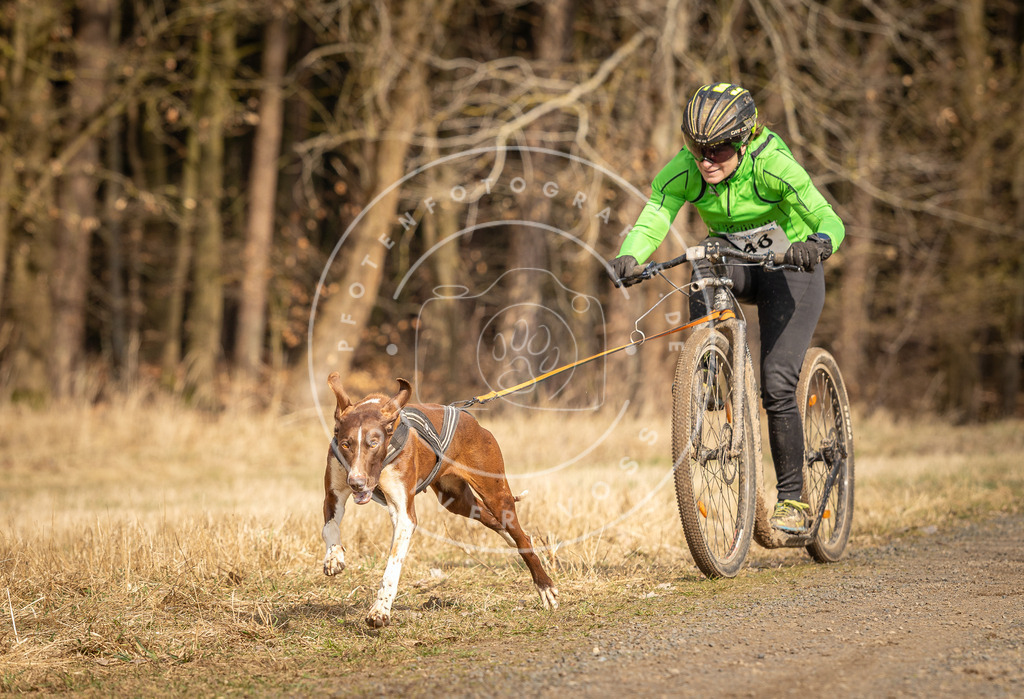 DV3A4790 | Hundefotografie, Tierfotograf, Pfotenfotografie, Fotoshooting Hund, Hunde Portrait, Hundesport, Hundeportraits, Heideshooting, Hunde, Sportfotograf, Hundefotograf, Turnierhundsport, THS,  - Realisiert mit Pictrs.com
