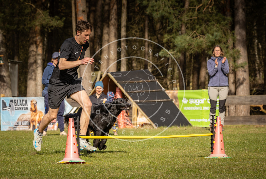 Pfotenfotografie_DV3A2637 | Hundefotografie, Tierfotograf, Pfotenfotografie, Fotoshooting Hund, Hunde Portrait, Hundesport, Hundeportraits, Heideshooting, Hunde, Sportfotograf, Hundefotograf, Turnierhundsport, THS,  - Realisiert mit Pictrs.com