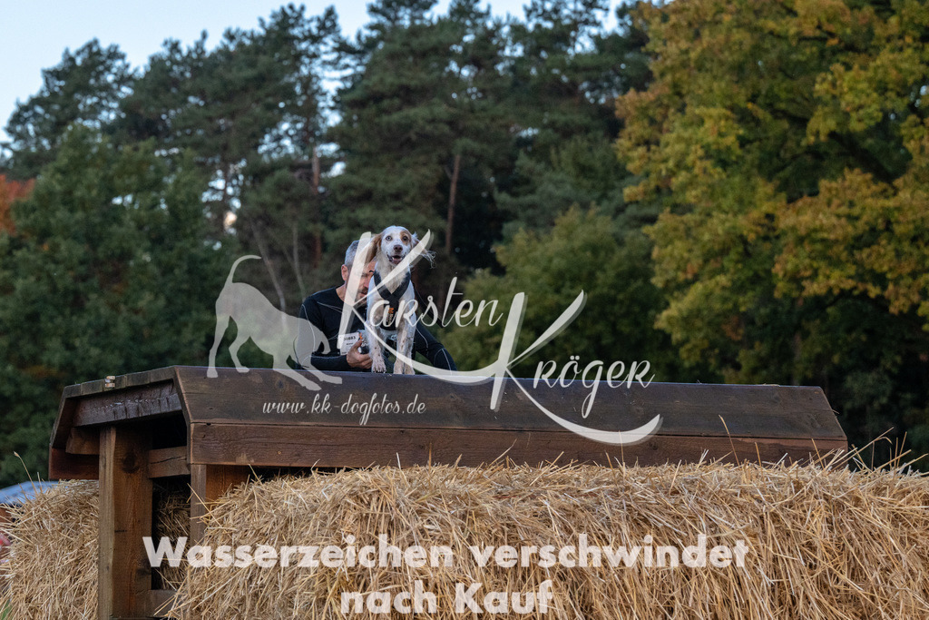 0819_ZZ90391 | kk-dogfotos