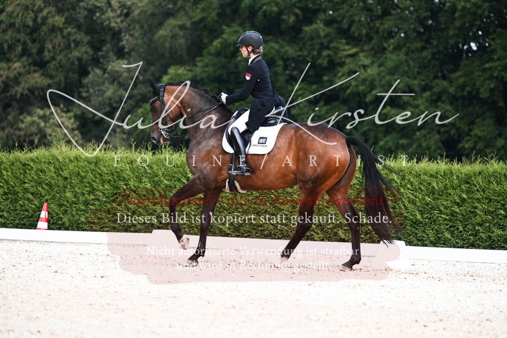 DSC_3097 | Pferde- und Turnierfotografie in Westsachsen. Pferdeportraits, Auftragszeichnungen und intuitive Kunst.