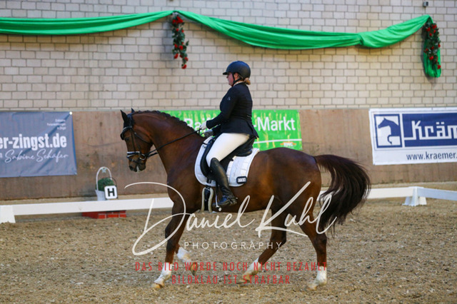 IMG_2969 | Turnierfotos kaufen im Webshop von Daniel Kuhl Photography – entdecke professionelle Reitsportfotos aus Turnieren & Events. Hochwertige Turnierbilder online bestellen & sichern. Jetzt Fotos von Reitsportturnieren kaufen!