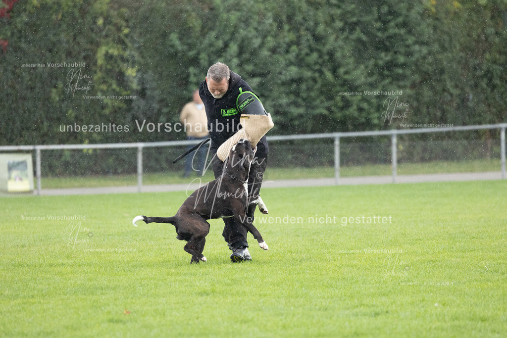 _16A7155 | Einzigartige Fotos von Hunden & Menschen –Actionfotos, Portraits, Vereinsaufnahmen & Paarshootings – authentisch, lebendig & mit Herz.