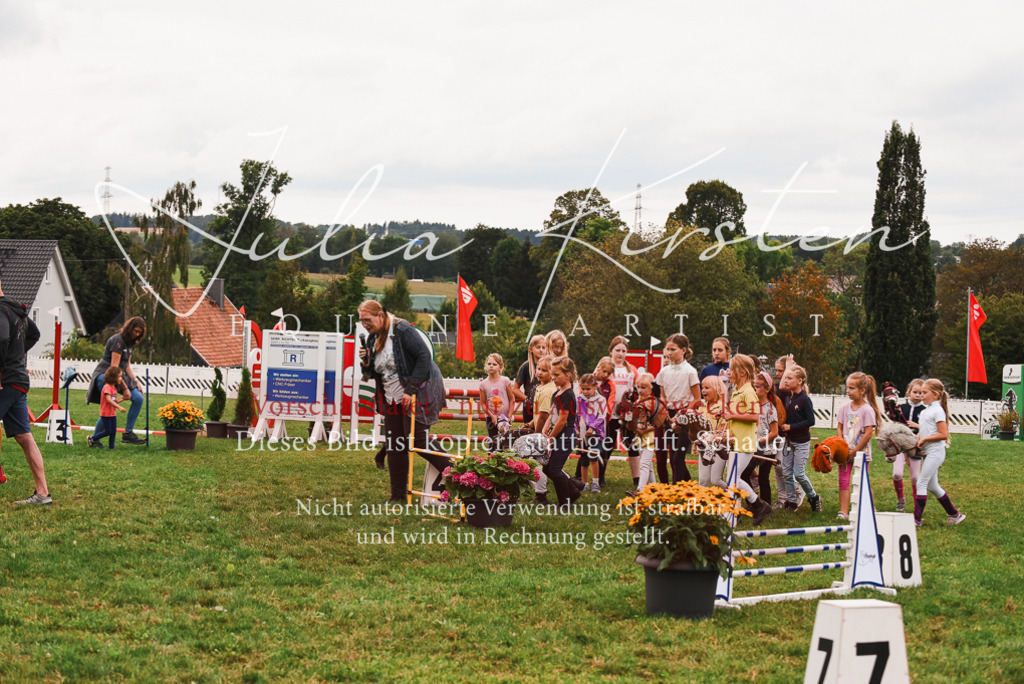 DSC_4421 | Pferde- und Turnierfotografie in Westsachsen. Pferdeportraits, Auftragszeichnungen und intuitive Kunst.