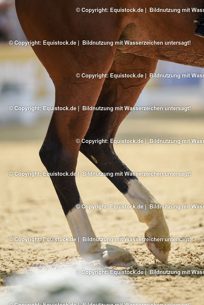 20250607_1_GP-Tour_Dressage_0174 | Foto: Thomas Hartig