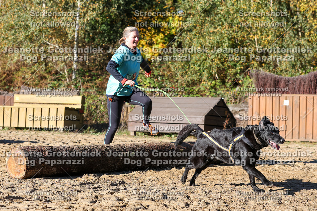 Dog Paparazzi - Strongdog 10-25-1936 | Dog Paparazzi Jeanette Grottendiek Fotografie & Videografie - Realisiert mit Pictrs.com