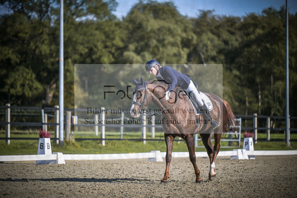 DOS_B802 | Entdecke hochwertige Reitturnierfotos von Foto Oger. Professionell, emotional und authentisch – jetzt Lieblingsmomente im Shop bestellen.Deutschlandweite Turnierfotografie. - Realisiert mit Pictrs.com