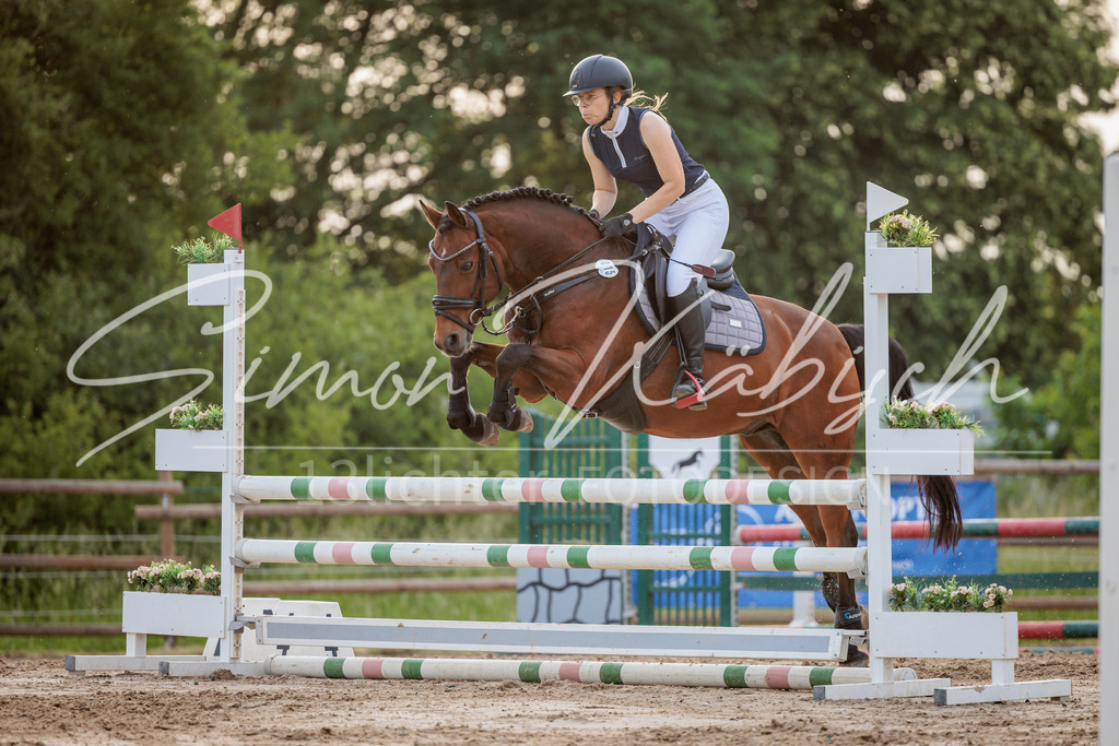 20260529-_3LI1892 | Tierfotografie Pferde, Hunde, Katzen, Haustiere.
Turnierfotografie Reitturniere, Reiten, Springreiten, Dressur in Hanau, dem Main-Kinzig-Kreis und dem Rhein-Main- Gebiet um Frankfurt