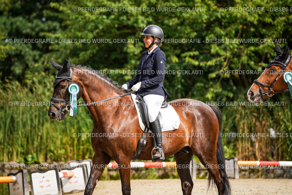 DSC02456 | Pferdegrafie