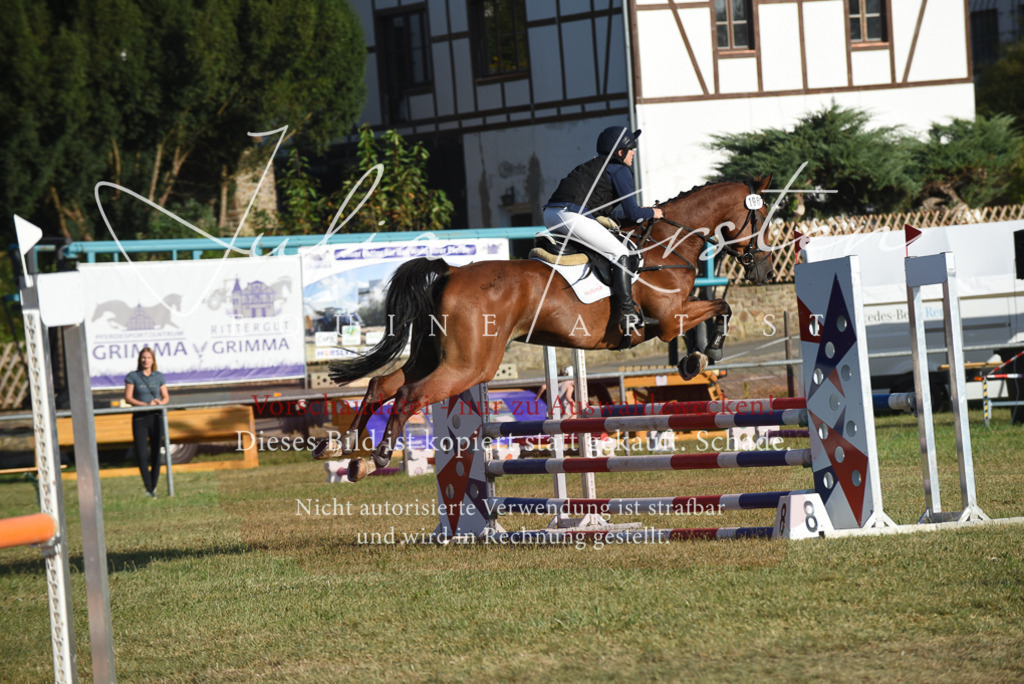 DSC_5002 | Pferde- und Turnierfotografie in Westsachsen. Pferdeportraits, Auftragszeichnungen und intuitive Kunst.