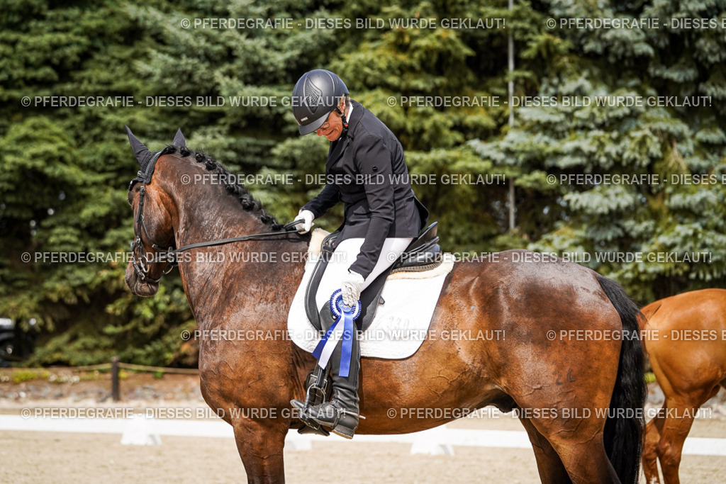 DSC04525 | Pferdegrafie