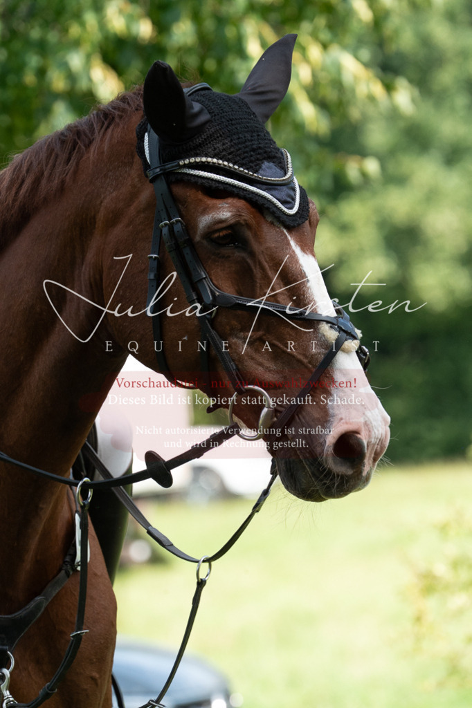 DSC_0669 | Pferde- und Turnierfotografie in Westsachsen. Pferdeportraits, Auftragszeichnungen und intuitive Kunst.