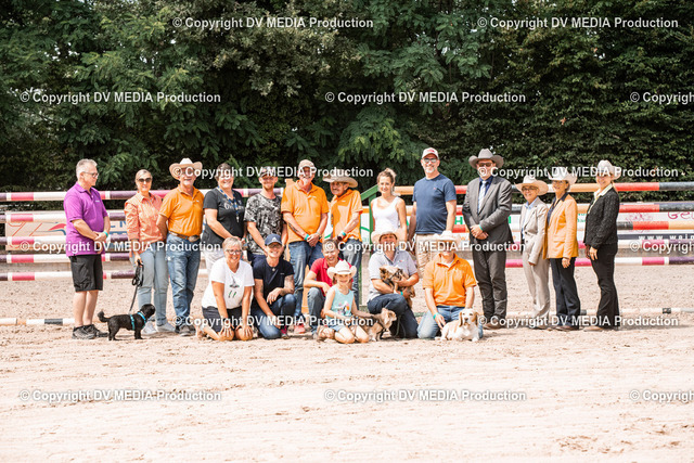 ZS3_0103 | dv-media-shop - Realisiert mit Pictrs.com