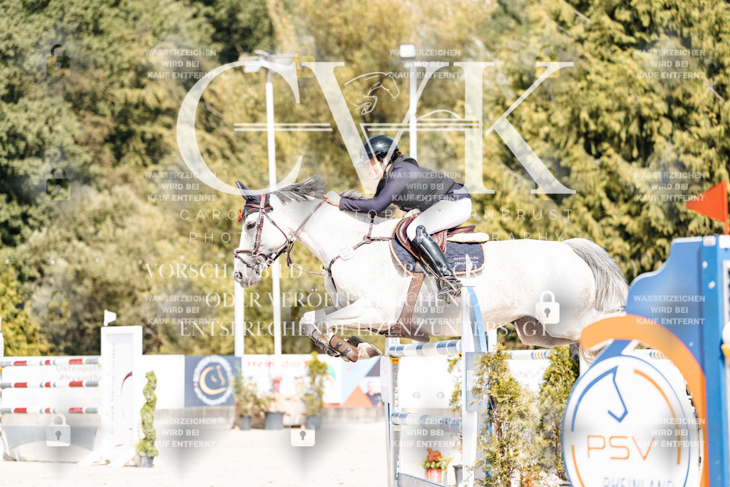 CK905276 | Turnierfotografie Pferdefotografie Trier Rheinland-Pfalz Pferdesport Reitsport Tierfotografie Sportfotografie Pferdevideo Pferdevideografie Equestrianvideography equestrianphotography  - Realisiert mit Pictrs.com