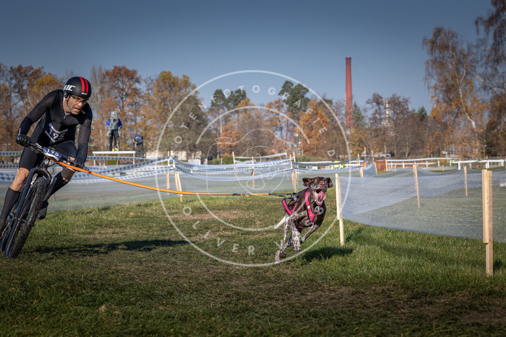 CaniXpix_0L8A5982 | Hundefotografie, Tierfotograf, Pfotenfotografie, Fotoshooting Hund, Hunde Portrait, Hundesport, Hundeportraits, Heideshooting, Hunde, Sportfotograf, Hundefotograf, Turnierhundsport, THS,  - Realisiert mit Pictrs.com