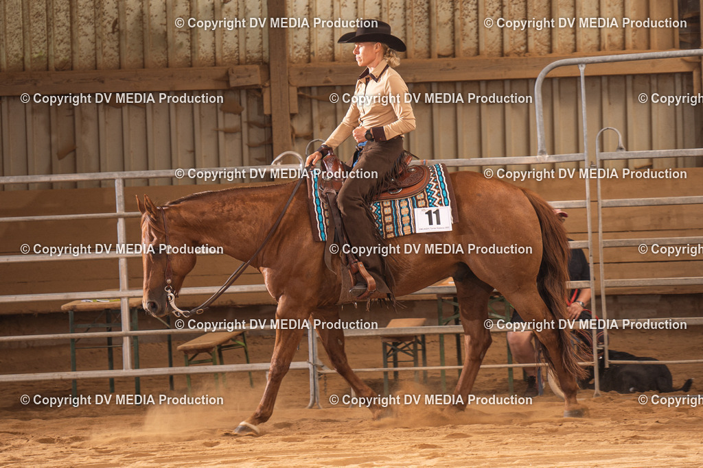 NID00236 | dv-media-shop - Realisiert mit Pictrs.com