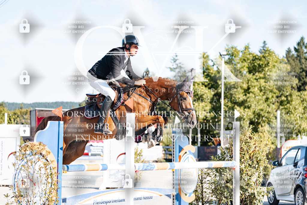 CK904051 | Turnierfotografie Pferdefotografie Trier Rheinland-Pfalz Pferdesport Reitsport Tierfotografie Sportfotografie Pferdevideo Pferdevideografie Equestrianvideography equestrianphotography  - Realisiert mit Pictrs.com