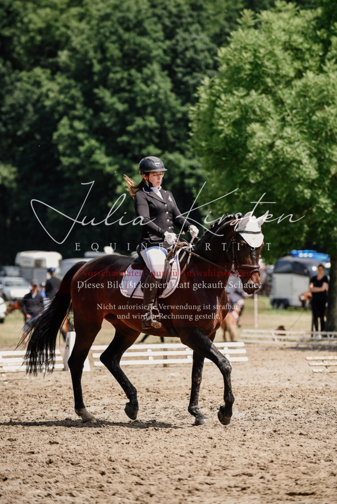 DSC_1062 | Pferde- und Turnierfotografie in Westsachsen. Pferdeportraits, Auftragszeichnungen und intuitive Kunst.
