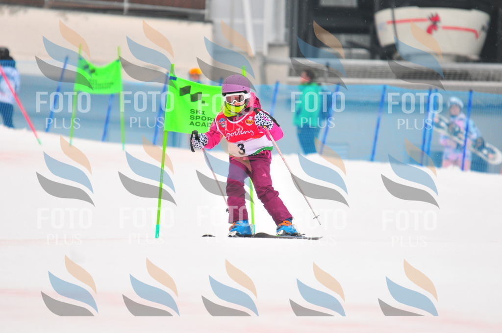 C0531 | holidayphoto