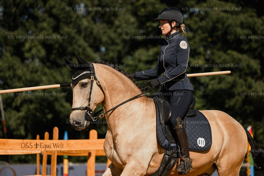 Diana11_FHC2025-27535 | working equitationturnier fotograf videograf stoibphotography marixx film working equitation deutschland reitsport turnierfotografie eventfotografie equestrian events