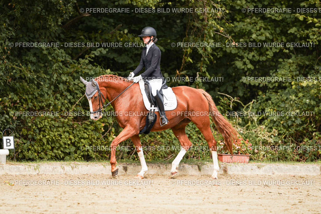 DSC01879 | Pferdegrafie