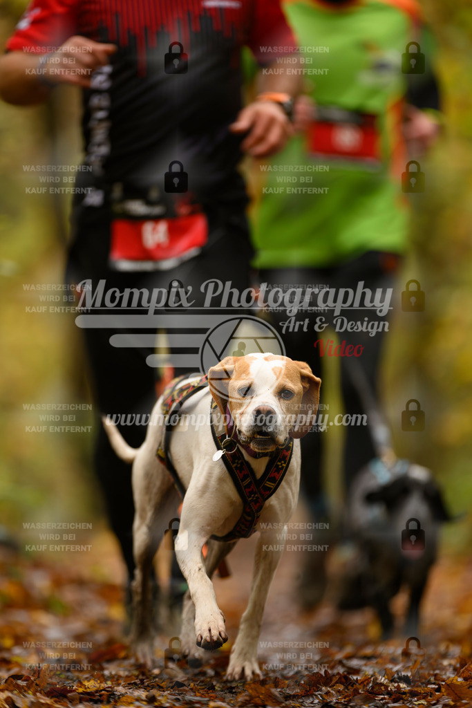 MompixPhotography_CD7S_DI_CCL-48 | mompixphotography